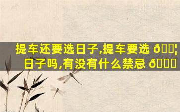 提车还要选日子,提车要选 🐦 日子吗,有没有什么禁忌 🐋